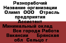 Разнорабочий › Название организации ­ Олимп, ООО › Отрасль предприятия ­ Ассистент › Минимальный оклад ­ 25 000 - Все города Работа » Вакансии   . Брянская обл.,Сельцо г.